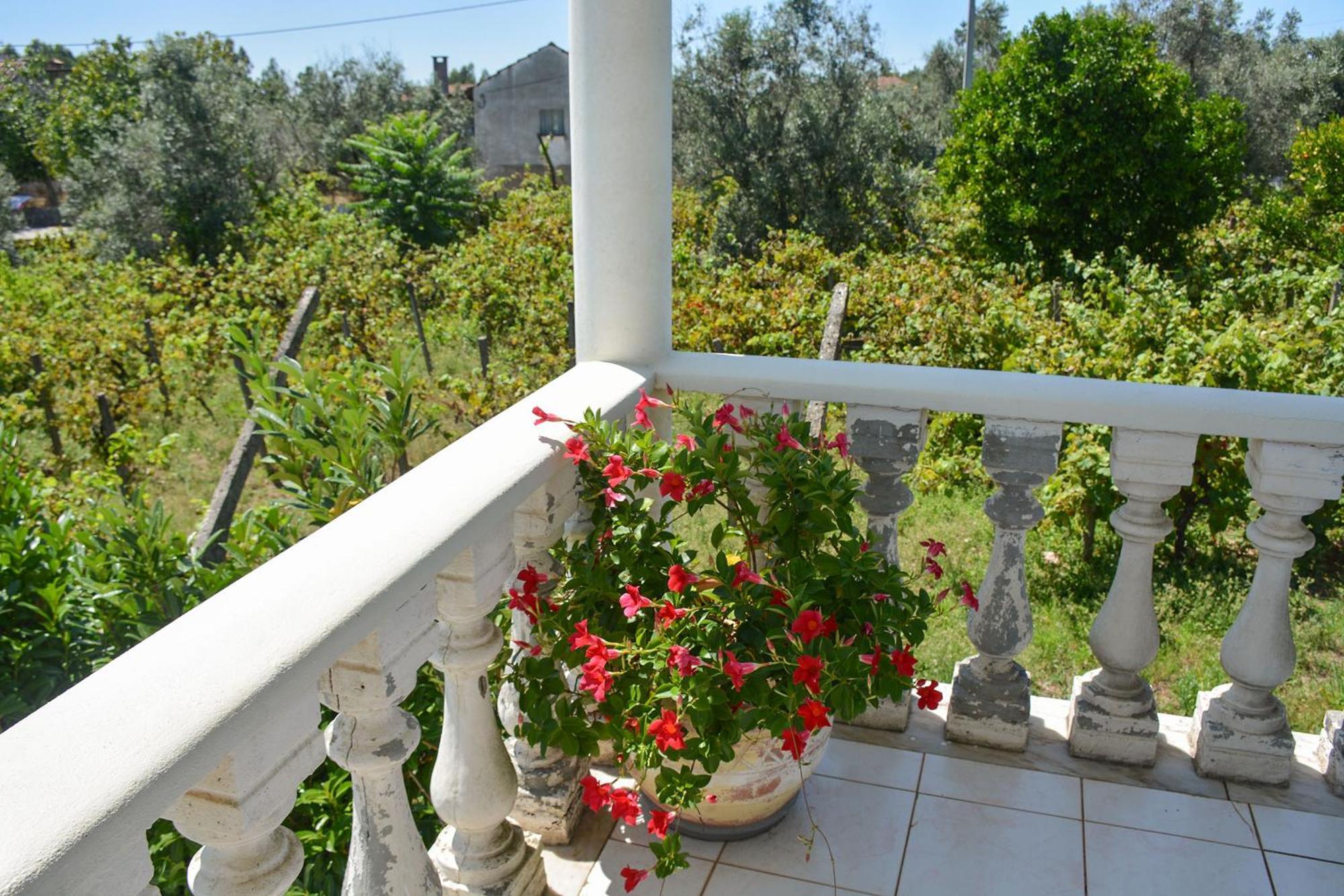 Casa Da Rosa, Com Piscina Privada Villa *
