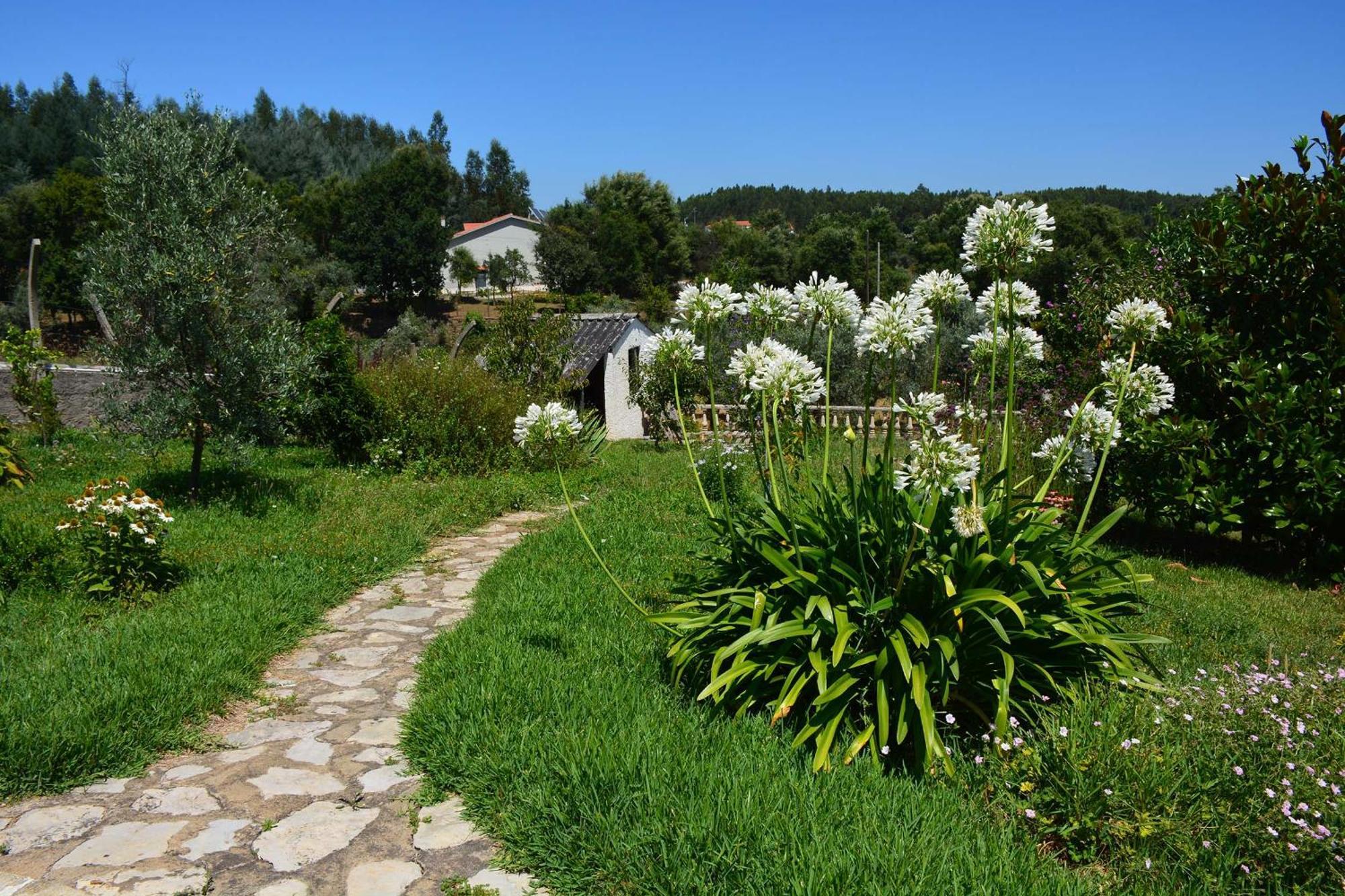 Casa Da Rosa, Com Piscina Privada Villa Carvalheira Grande