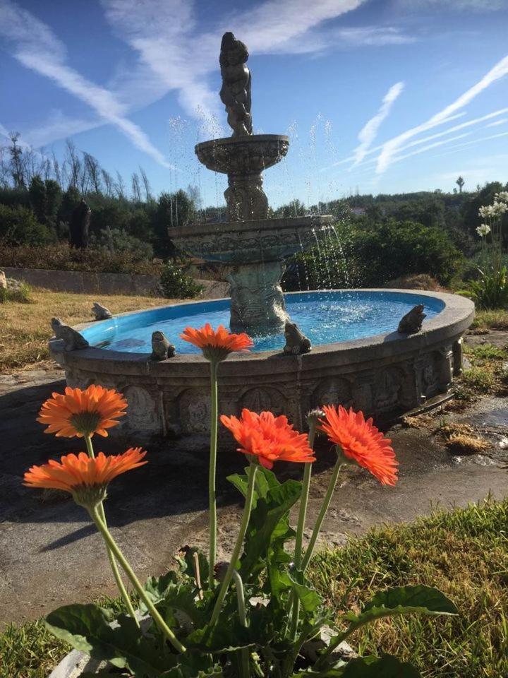 Casa Da Rosa, Com Piscina Privada *